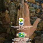Portada Trasera